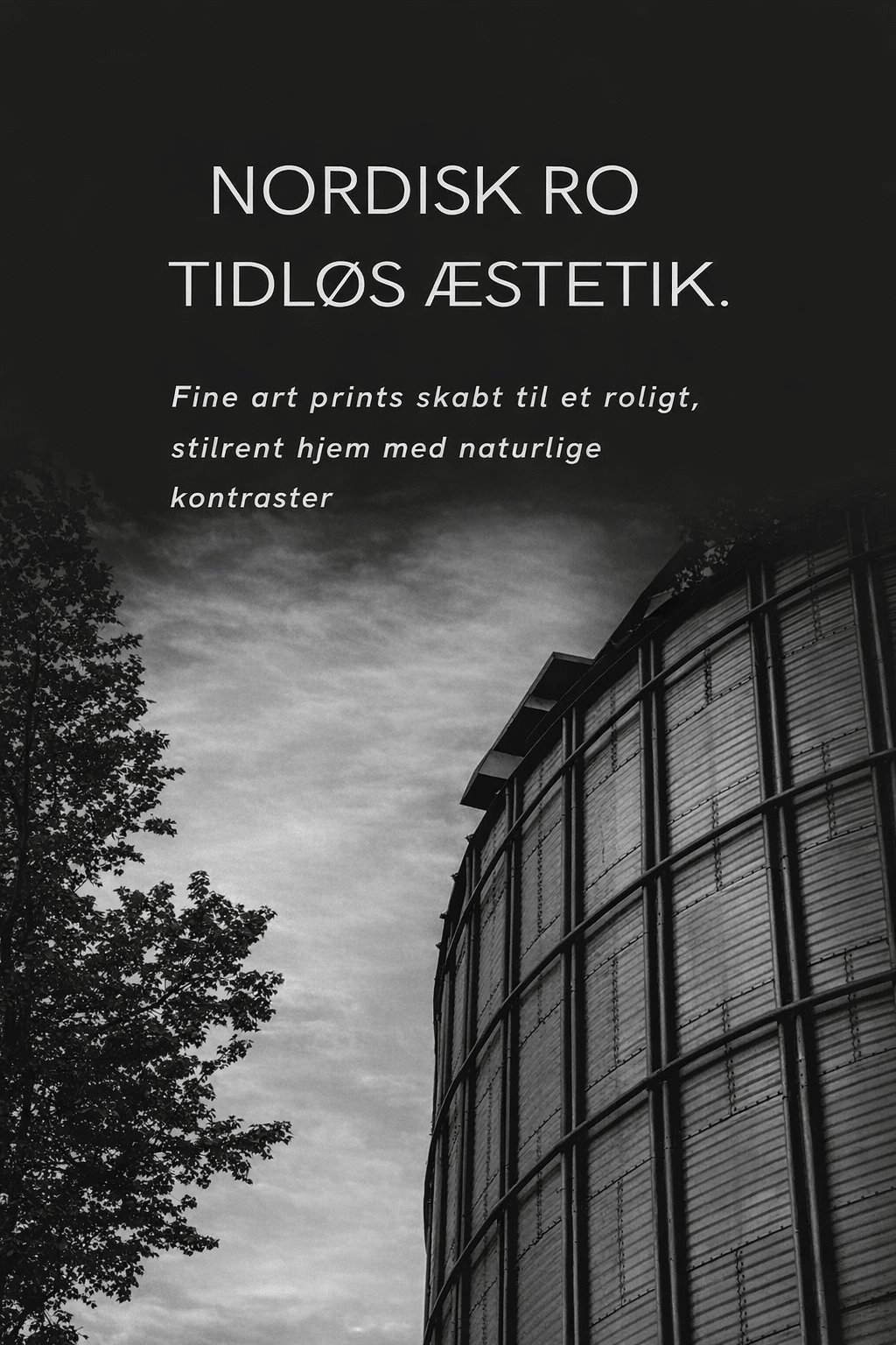 Sort/Hvid Plakater - EKKOVISUALS