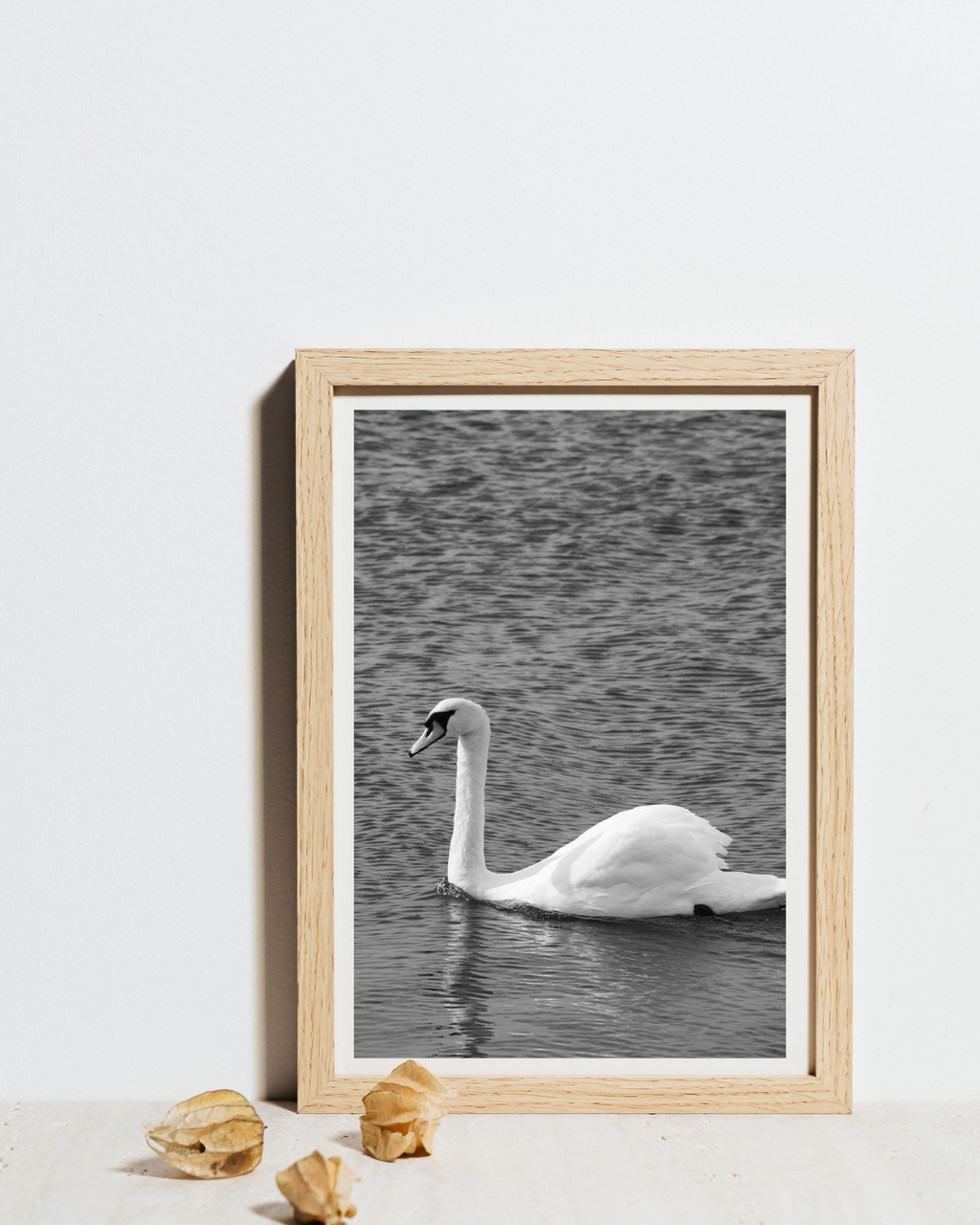 Svanen – sort/hvid natur plakat