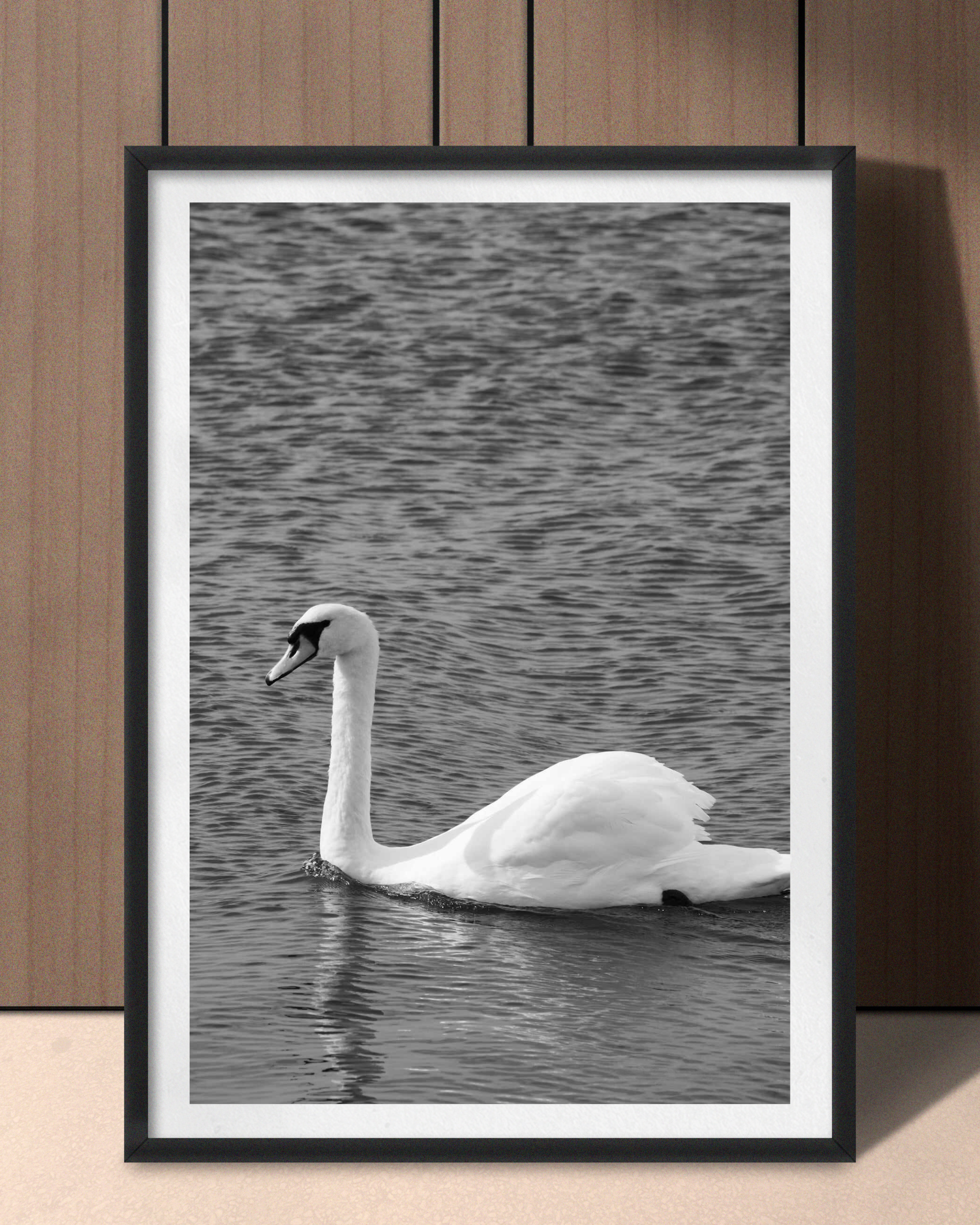 Svanen – sort/hvid natur plakat