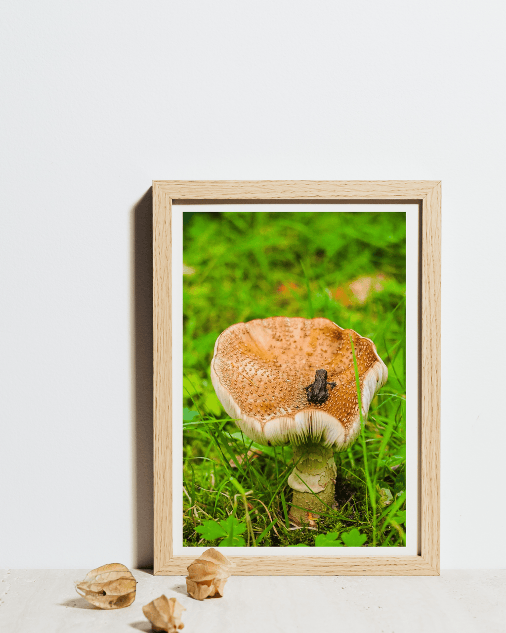 Forest Silence nordisk kunstplakat fra EKKOVISUALS