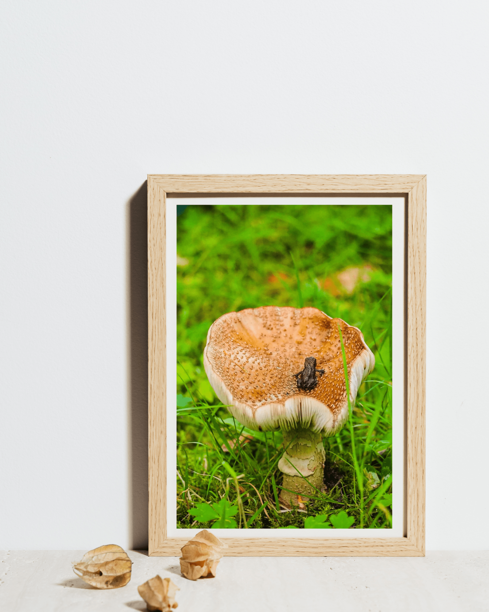 Forest Silence nordisk kunstplakat fra EKKOVISUALS