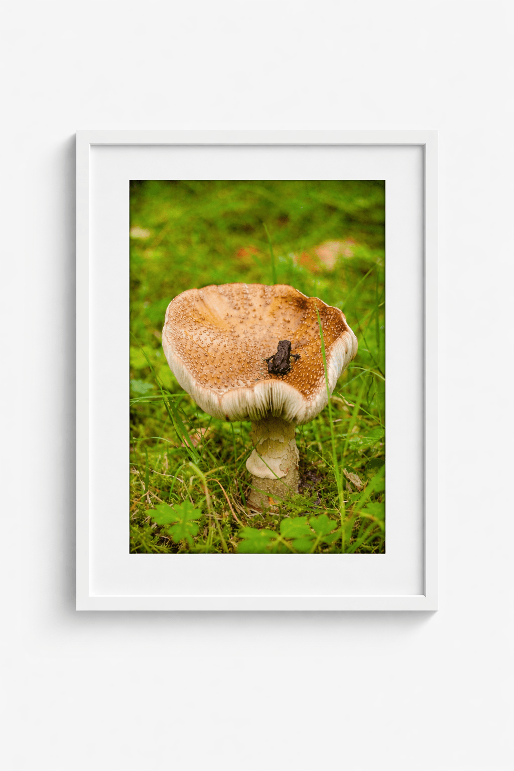 Forest Silence nordisk kunstplakat fra EKKOVISUALS