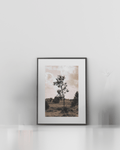 Stilhed i landskabet nordisk kunstplakat fra EKKOVISUALS