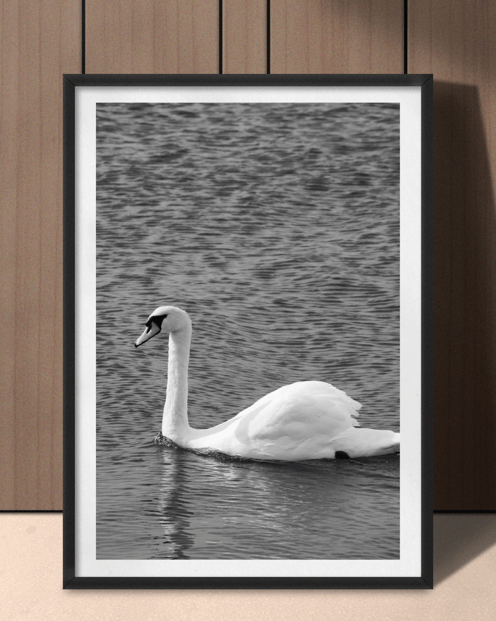 Svanen – sort/hvid natur plakat nordisk kunstplakat fra EKKOVISUALS