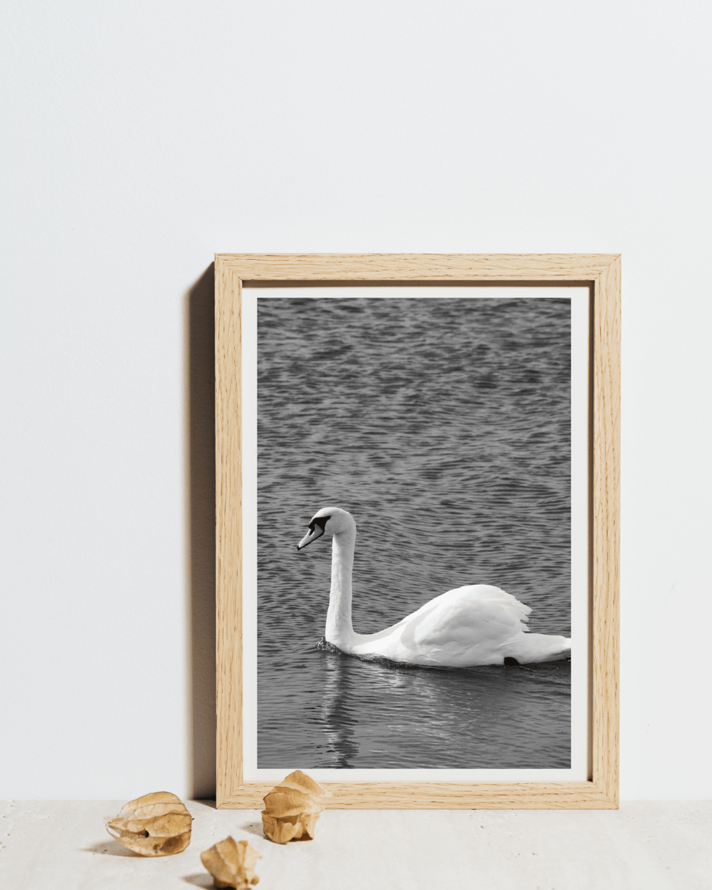 Svanen – sort/hvid natur plakat nordisk kunstplakat fra EKKOVISUALS